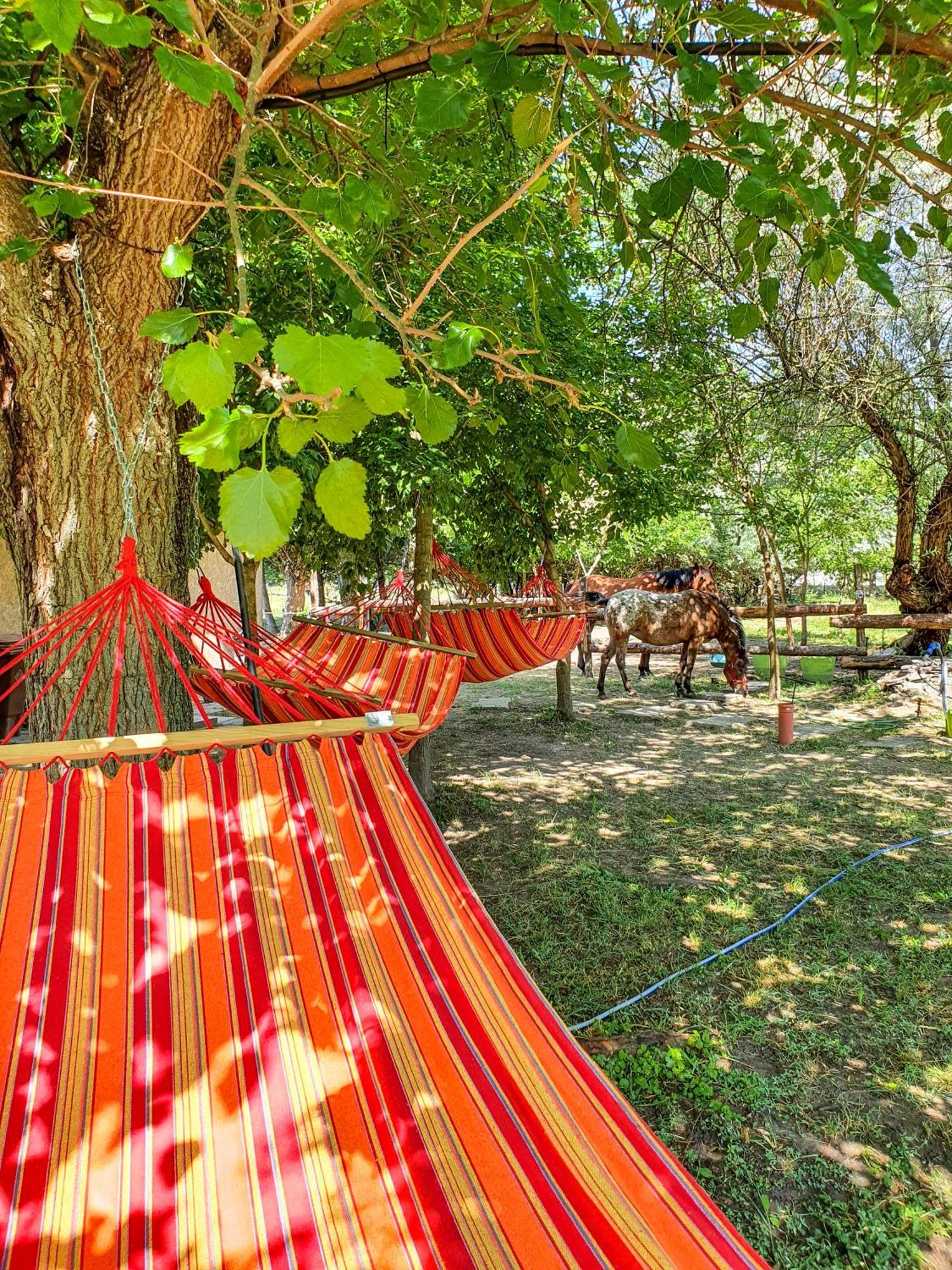 Forro Fogado & Bauer Bistro Hotel Roszke Luaran gambar